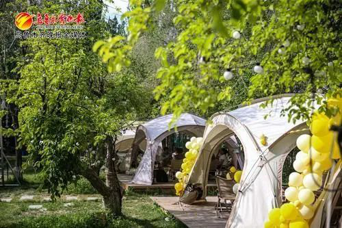 ” 打造文旅新场景 激发消费新活力麻将胡了2试玩文化中国行丨“露营+(图3)