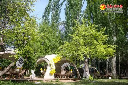 ” 打造文旅新场景 激发消费新活力麻将胡了2试玩文化中国行丨“露营+(图5)